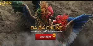 Đá gà online tại k9win8